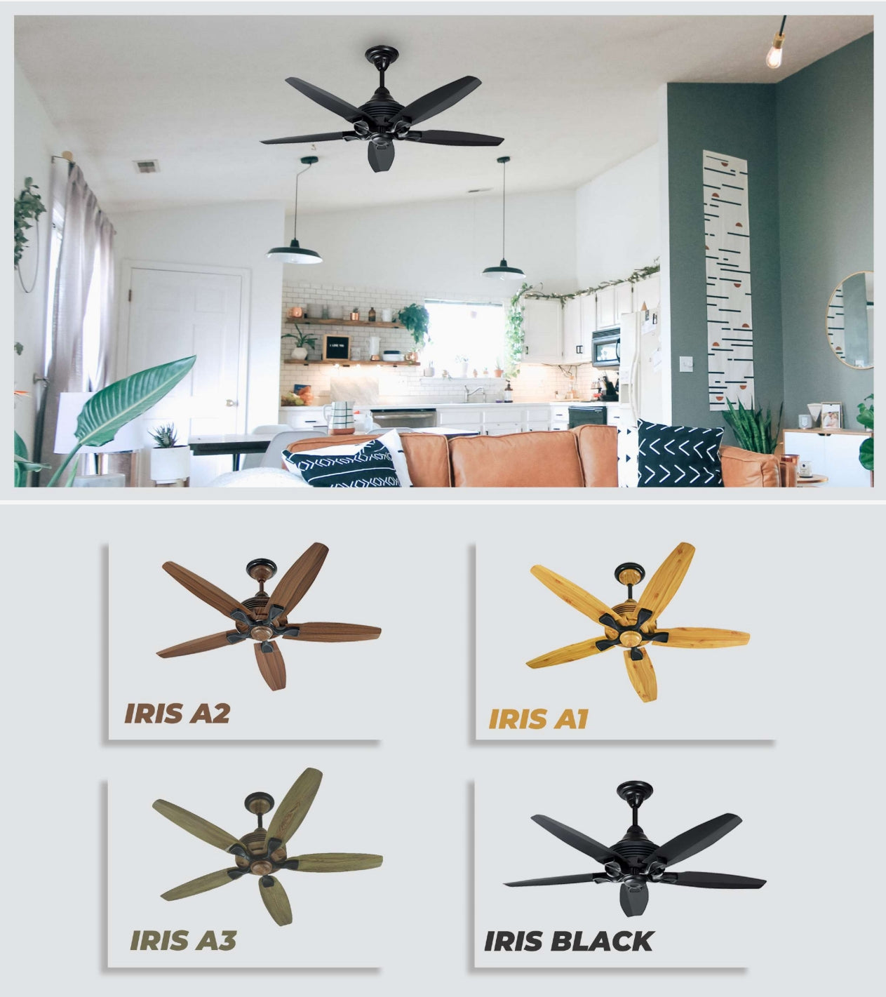SK Ceiling Fan Remote Control (Grace, Iris, Spider)