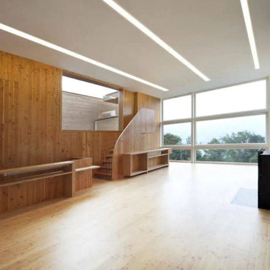 47mm Aluminum Profile Light (10 Feet)