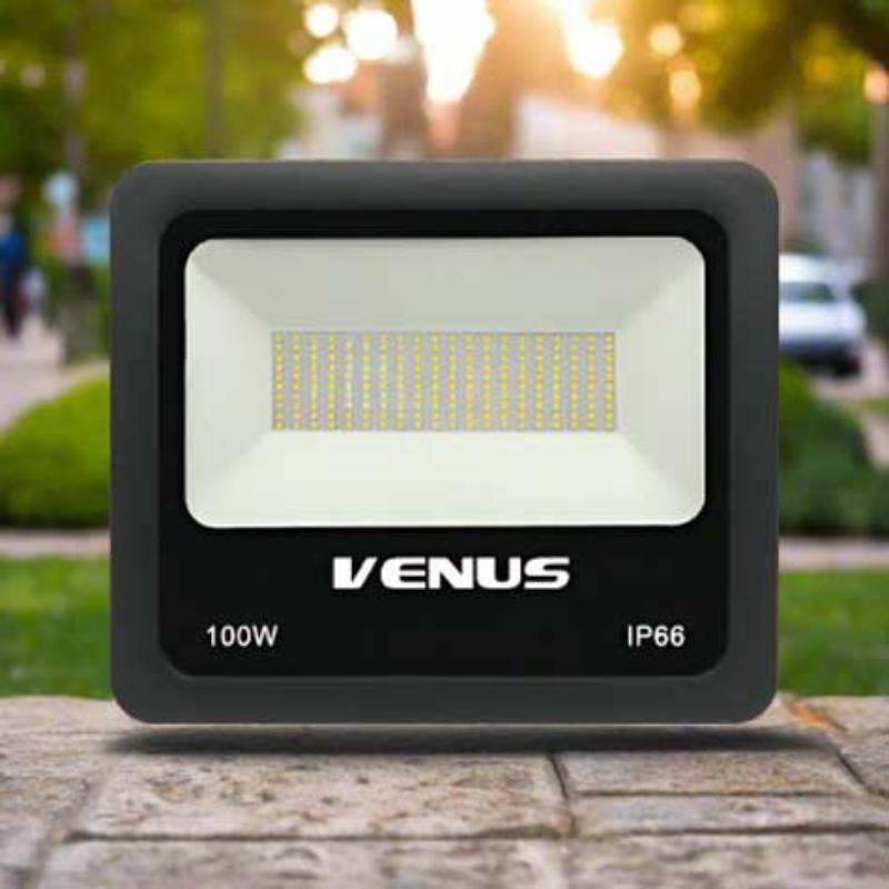 Flood Light