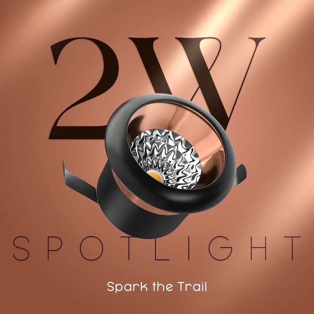 Recessed COB Down Light 2W 1"