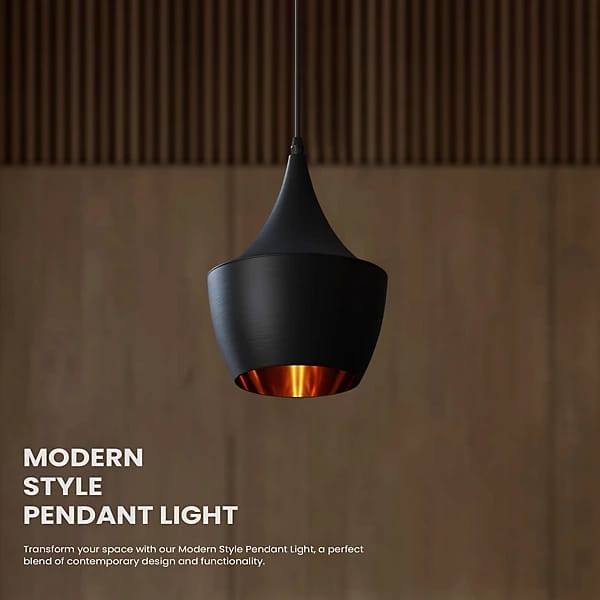 Modern  Style Indoor Hanging Light