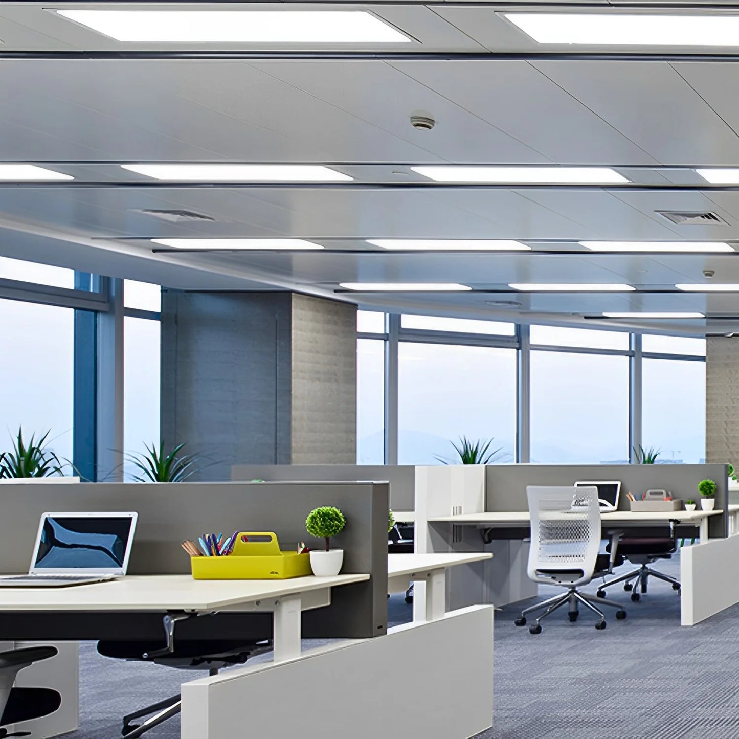 LED Panel Light 2x4  50W, 72W   (Back Light)