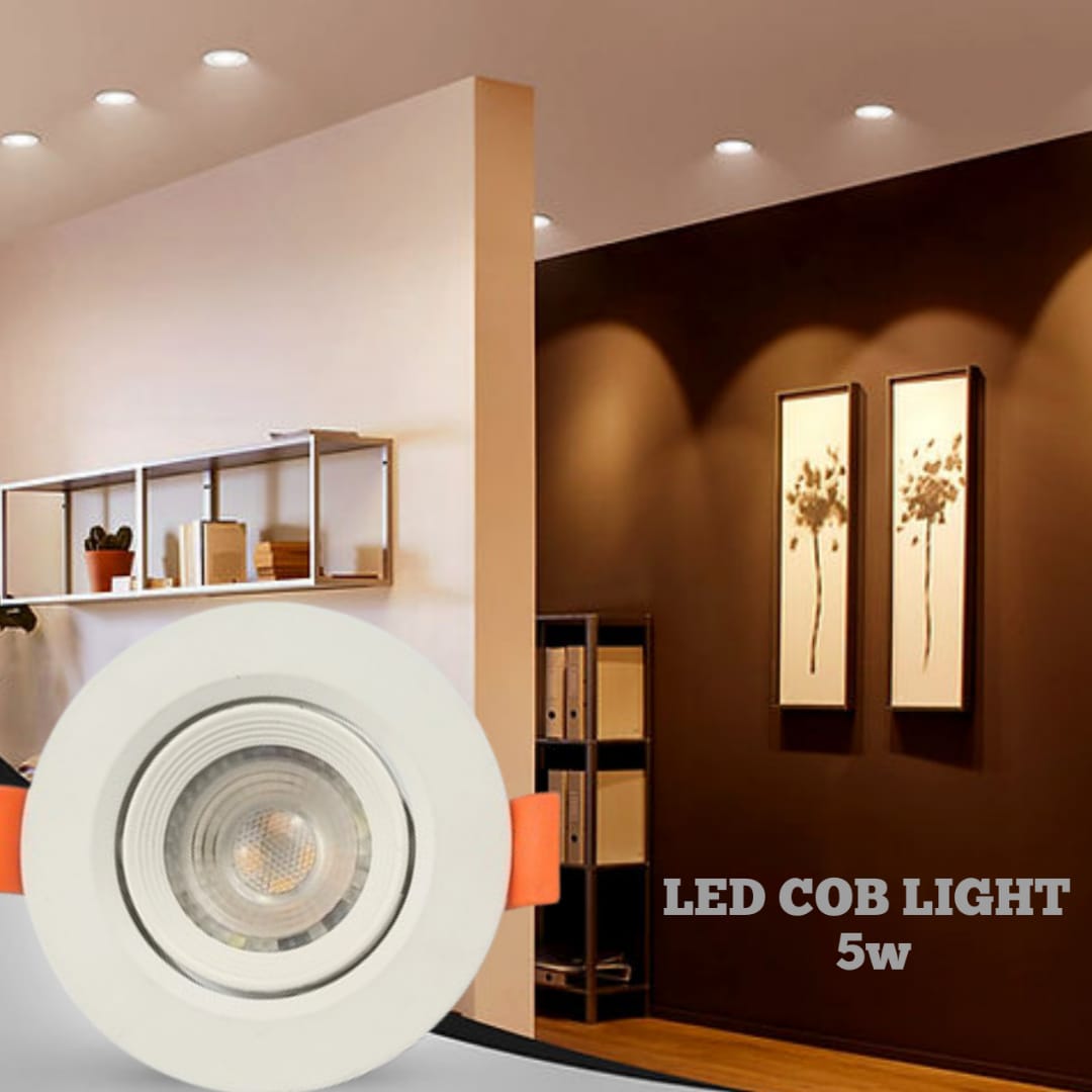 Recessed COB Down Light 5W 2"