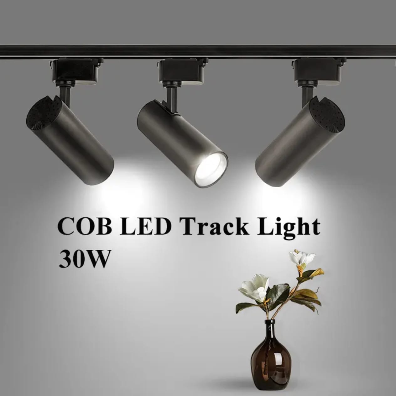 LED Track Light 30W