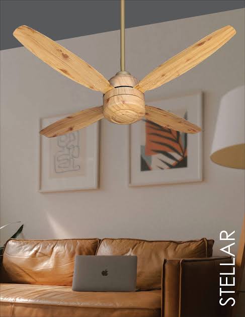 Lahore Ceiling Fan Remote Control  (Horizon Stellar)