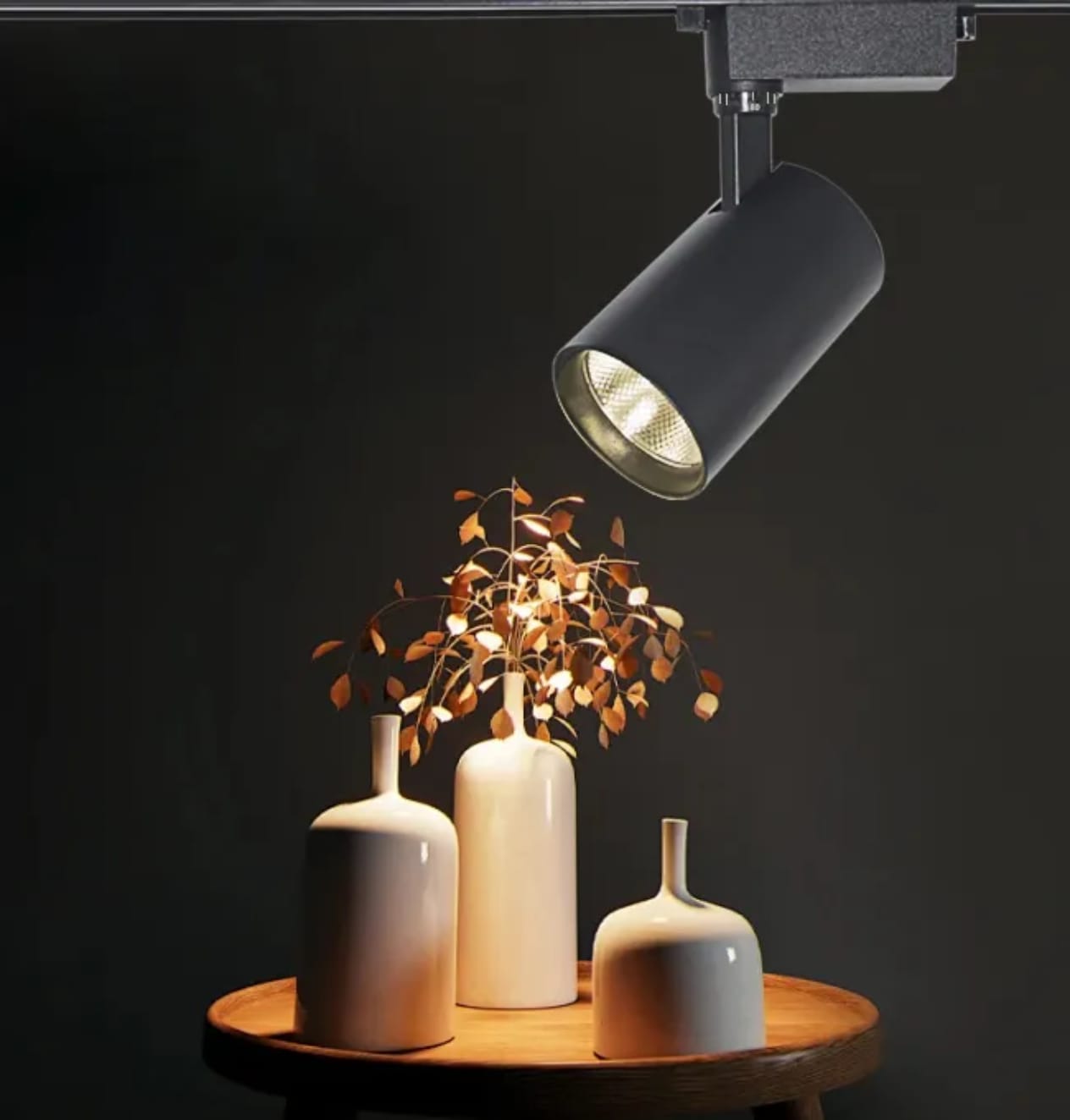 LED Track Light (20Watt)