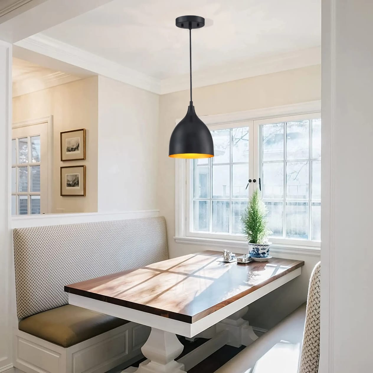 Modern Hanging Light