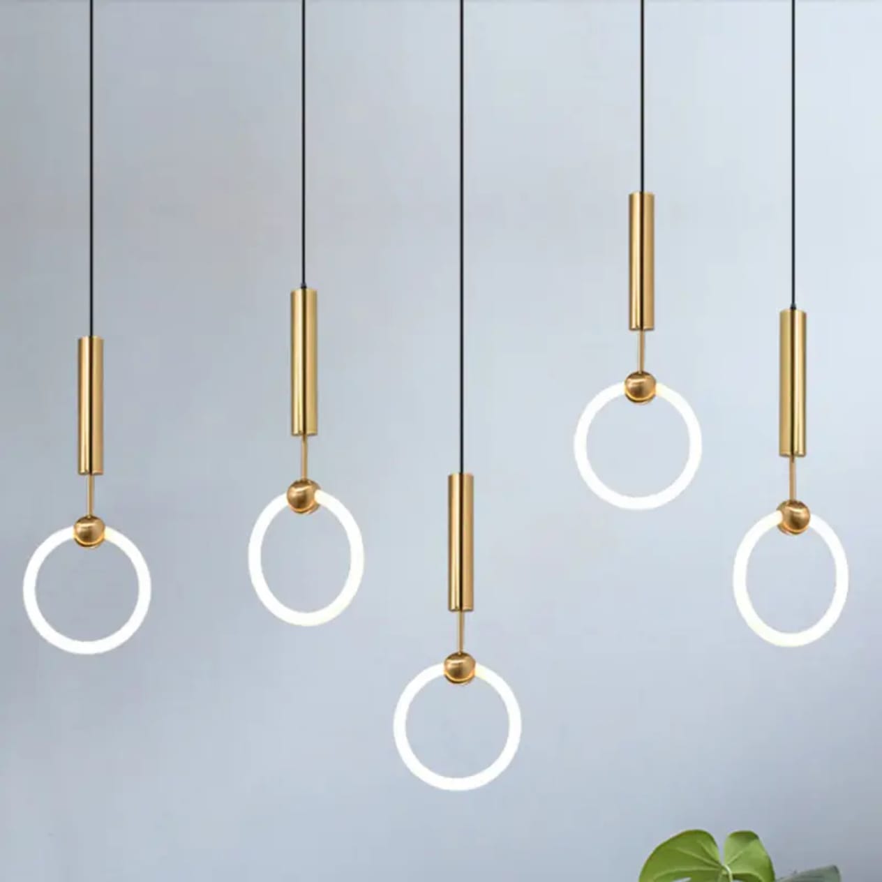 Nodic  Circle Hanging Light
